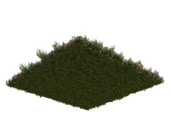 Fototapete - Field of grass isolated on transparent background. 3d rendering - illustration