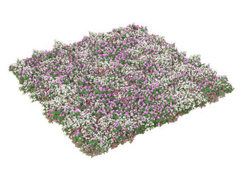 Fototapete - Field of grass isolated on transparent background. 3d rendering - illustration