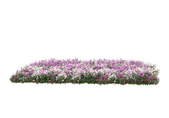 Fototapete - Field of grass isolated on transparent background. 3d rendering - illustration