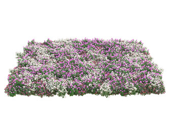 Fototapete - Field of grass isolated on transparent background. 3d rendering - illustration