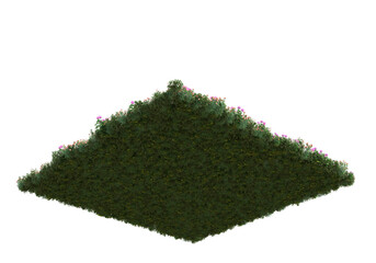 Fototapete - Field of grass isolated on transparent background. 3d rendering - illustration