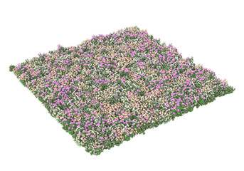 Fototapete - Field of grass isolated on transparent background. 3d rendering - illustration