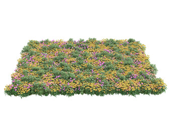 Fototapete - Field of grass isolated on transparent background. 3d rendering - illustration