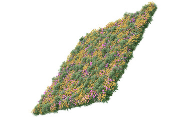 Fototapete - Field of grass isolated on transparent background. 3d rendering - illustration