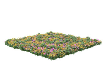 Fototapete - Field of grass isolated on transparent background. 3d rendering - illustration