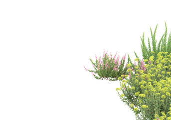Poster - Field of grass isolated on transparent background. 3d rendering - illustration