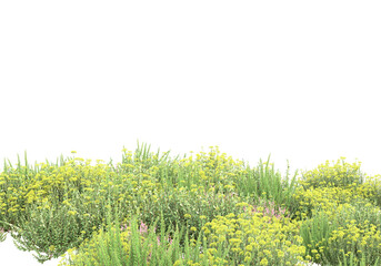 Poster - Field of grass isolated on transparent background. 3d rendering - illustration