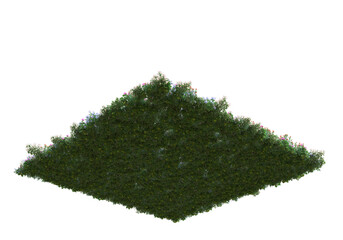 Poster - Field of grass isolated on transparent background. 3d rendering - illustration