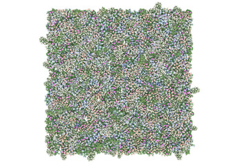 Poster - Field of grass isolated on transparent background. 3d rendering - illustration