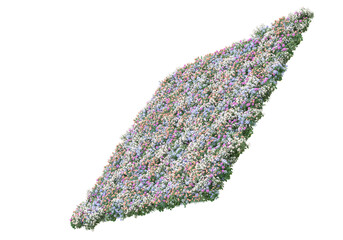 Poster - Field of grass isolated on transparent background. 3d rendering - illustration