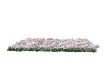 Poster - Field of grass isolated on transparent background. 3d rendering - illustration