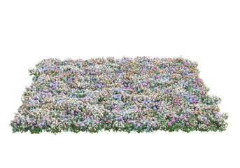 Poster - Field of grass isolated on transparent background. 3d rendering - illustration