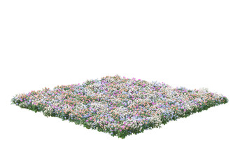 Poster - Field of grass isolated on transparent background. 3d rendering - illustration