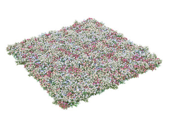 Poster - Field of grass isolated on transparent background. 3d rendering - illustration