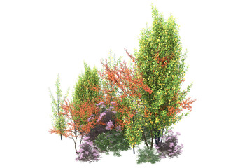 Fototapete - Field of grass isolated on transparent background. 3d rendering - illustration