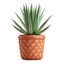 Aloe Vera Plant In Terracotta Pot. Isolated On Transparent Background. Generative Ai