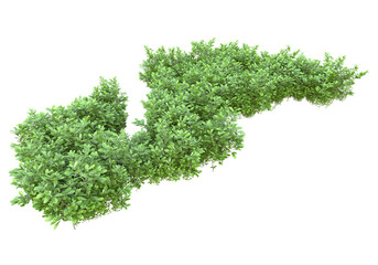 Fototapete - Foliage isolated on transparent background. 3d rendering - illustration