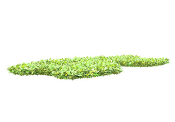 Fototapete - Foliage isolated on transparent background. 3d rendering - illustration