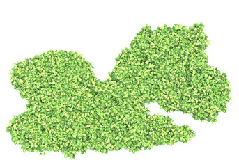 Fototapete - Foliage isolated on transparent background. 3d rendering - illustration