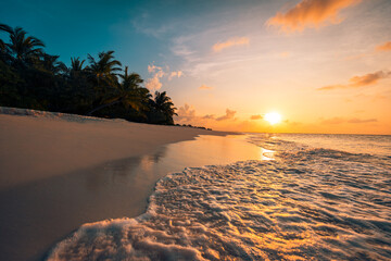 Aufkleber - Island palm trees sandy beach. Panoramic sea bay landscape. Inspire tropical beach seascape horizon. Orange and golden sunset sky wave surf splash reflection calm tranquil carefree shore. Dream nature
