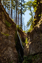 Wall Mural - Upper Wahclella Falls Throuugh Cliffs in in Columbia River Gorge, OR