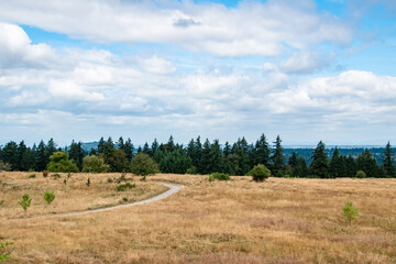 Wall Mural - Trail and Rolling Hills With Dry Meadows in Powell Butte Park in East Portland, OR