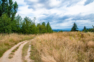 Wall Mural - Trail and Dry Meadow in Powell Butte Park in East Portland, OR