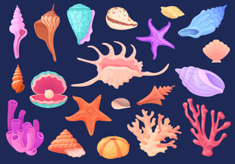 Wall Mural - Underwater conches. Cartoon shellfish scallops ocean conch oyster mollusks seashell, beach reef coral sea star pearl shell, tropical aquarium decoration, neat vector illustration