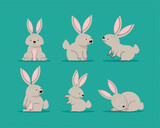 Fototapeta Pokój dzieciecy - six cute beige rabbits