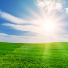 Panoramic Landscape Of A Green Field With Grass Against A Blue Sky And Bright Sun.