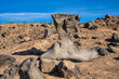 Large natural stone monument sits on a desert hillside surrounded by other scattered rocks on clear day with blue sky.
