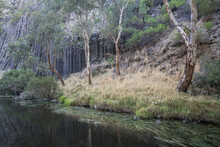 
Organ Pipes National Park Expose Pleistocene Volcanic Rocks.
These 2.5- To 2.8-million-year-old Basalt Lavas Fractured During Cooling Into Vertically Standing, Hexagonal Basalt Columns. 