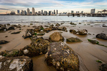 San Diego, California Skyline Seen From Coronado Island With Beach And Rocks At Dusk