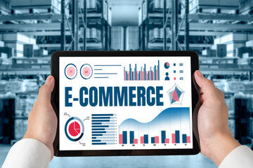 E-commerce data software provide modish dashboard for sale analysis to the online retail business