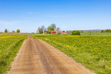 Gravel Road To A Farm In A Beautiful Rural Landscape