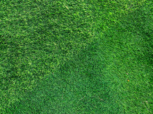 Detailed Close Up Of Green Grass Background. Without People