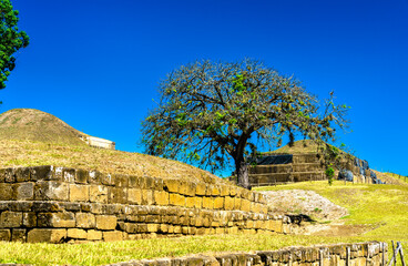 Canvas Print - San Andres Mayan ruins in El Salvador, Central America