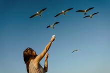 Young Woman Feeding Seagulls Hovering In Sky