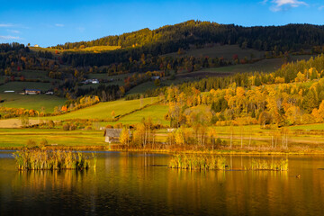 Canvas Print - autumn pond under the mountains, Murau district,.Styria, Austria