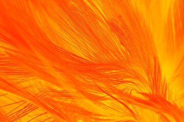 Sticker - Red orange feather texture pattern background