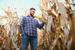 © Serhii - Farmer in field checking on corncobs