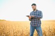 © Serhii - A farmer inspects a soybean field. The concept of the harvest