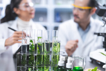 Wall Mural - Pharmaceutical factory woman worker in protective clothing operating production line in sterile environment, scientist with glasses and gloves checking hemp plants in a marijuana farm