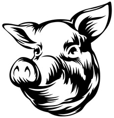 Wall Mural - Pig head mascot. Swine logo. Hog illustration.