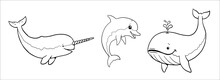 Cute Narwhal, Whale And Dolphin To Color In. Vector Template For A Coloring Book With Funny Animals. Coloring Template For Kids.
