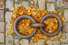 Selective Focus Top View At Rusty Boat Tie Ring On The Stone Street And Autumn Leaves. 
