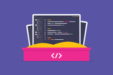 Software sandbox concept with application code screen in sandbox vector flat illustration