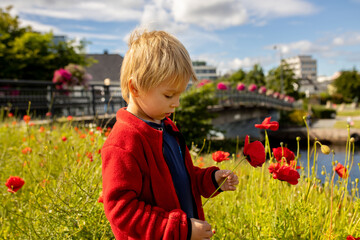 Wall Mural - Beautiful town Kristiansand in Norway, family visiting Norway for summer vacation