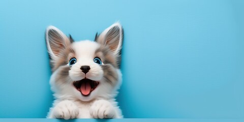 Wall Mural - cute adorable dog smiling and isolated on blue background with copy space generative ai