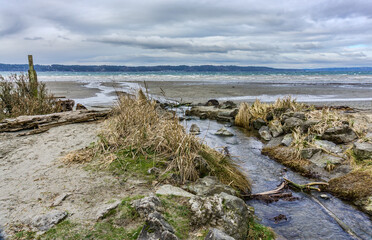 Canvas Print - Stream To Puget Sound 3